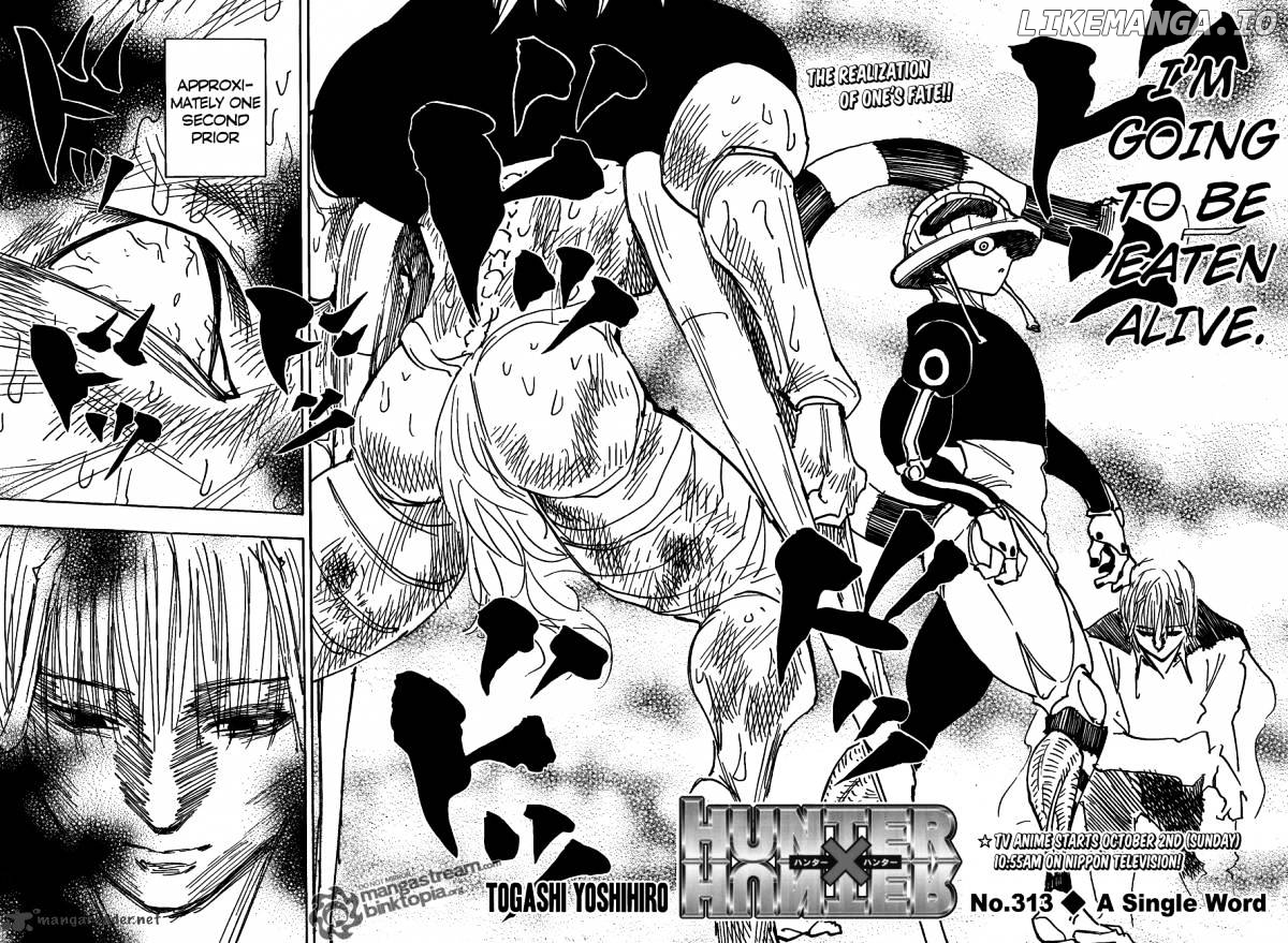 Hunter x Hunter, Chapter 313 image 02